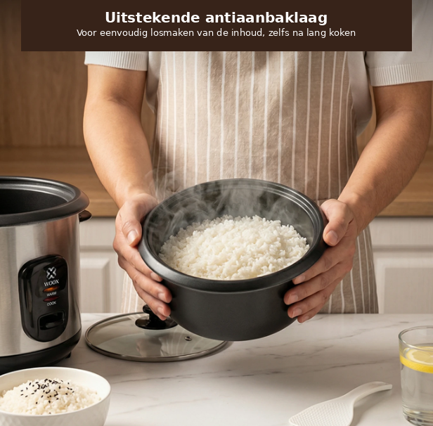 Woox Elektrische Rijstkoker 1 Liter - Zwart & RVS - Glazen Deksel