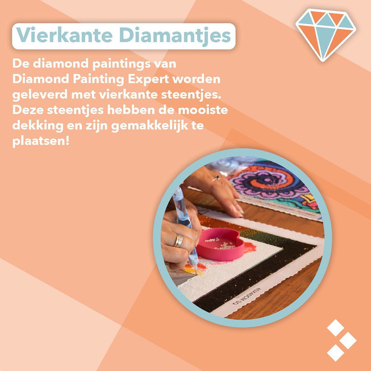 Vivora Diamond Paint Tekening - 5D - 10x10x5 cm