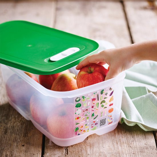 Tupperware Fridge Smart 4,4l - Vershoudbakjes - BPA-vrij - Voorraadpot - Lunchbox - Plastic Bakjes - Voedselcontainer - Voedsel blijft 2 keer langer vers