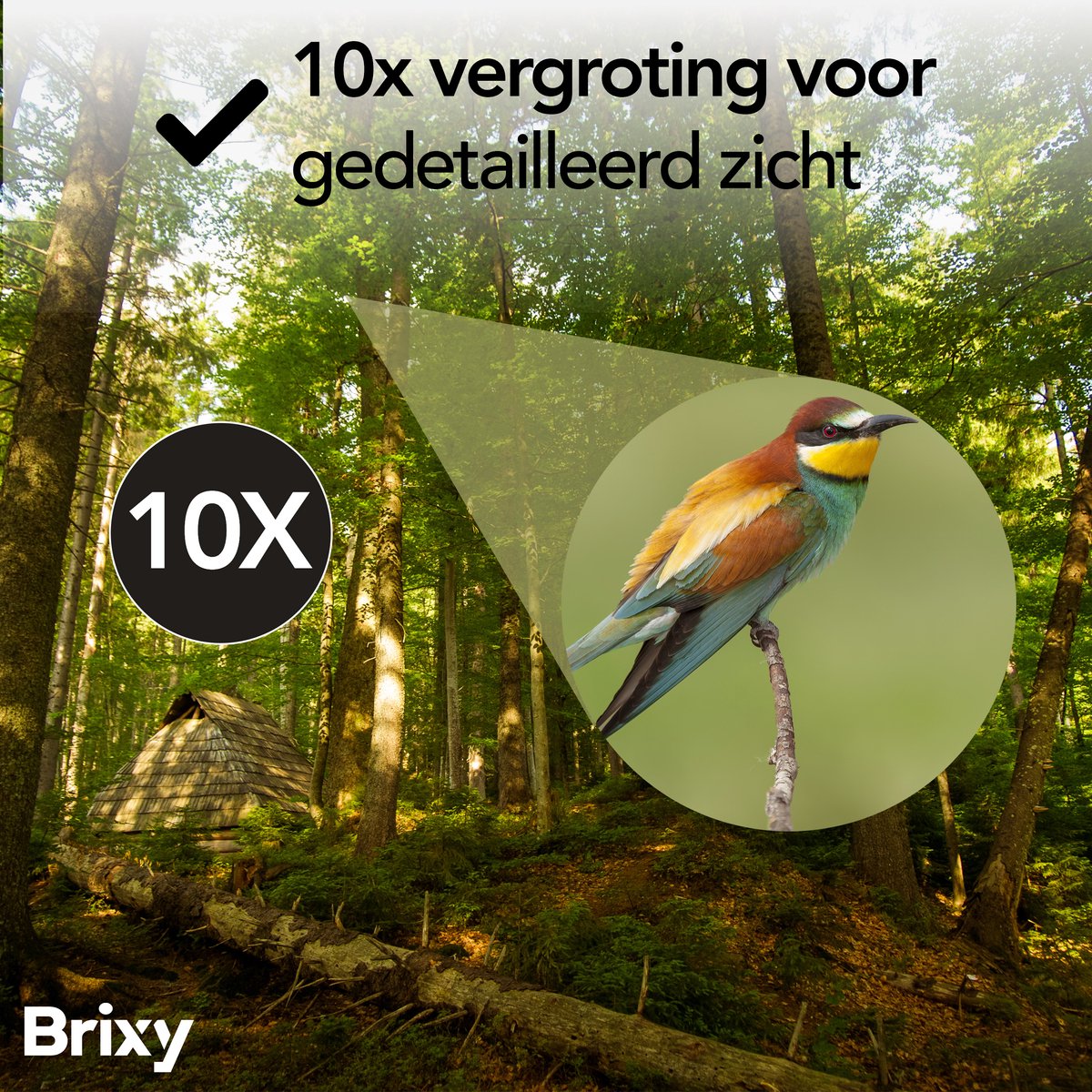 Brixy Verrekijker 10x25 - Compacte Waterdichte Verrekijker met BAK4 Prisma’s en FMC-Lenzen - Inclusief Nekkoord, Draagtas en Schoonmaakdoekje - Zwart - 10x25 mm