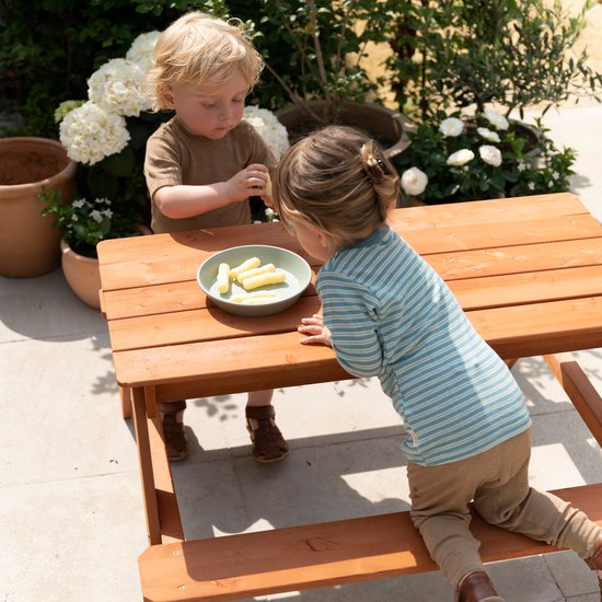 Sunny Dave Zand & Water Picknicktafel in Bruin voor kinderen - Multifunctionele Picknick tafel met 2 uitneembare kunststof bakken - FSC hout