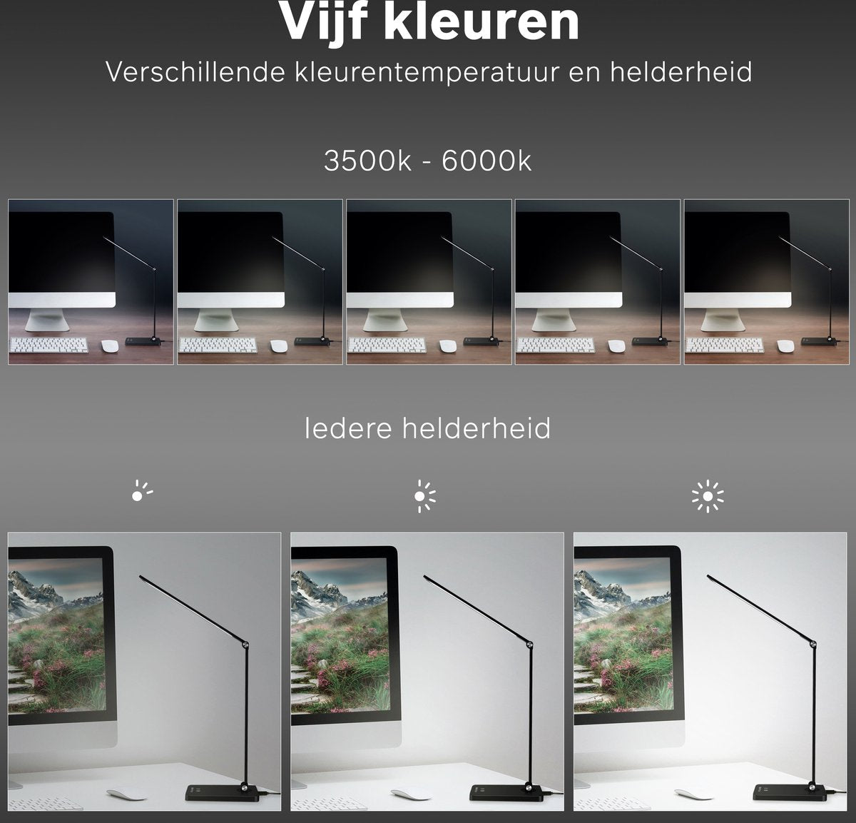 Bintoi® DL200 - Bureaulamp LED - Leeslamp - Bedlamp - Touch Control - Dimbaar - Wit en Warm Licht