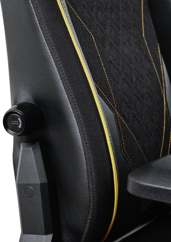 Trust GXT 721 Ruya Pro - Premium Comfortabele Gamestoel - 4D-armleuningen - Geïntegreerde Lendensteun - Verstelbaar tot 150 kg - Zwart