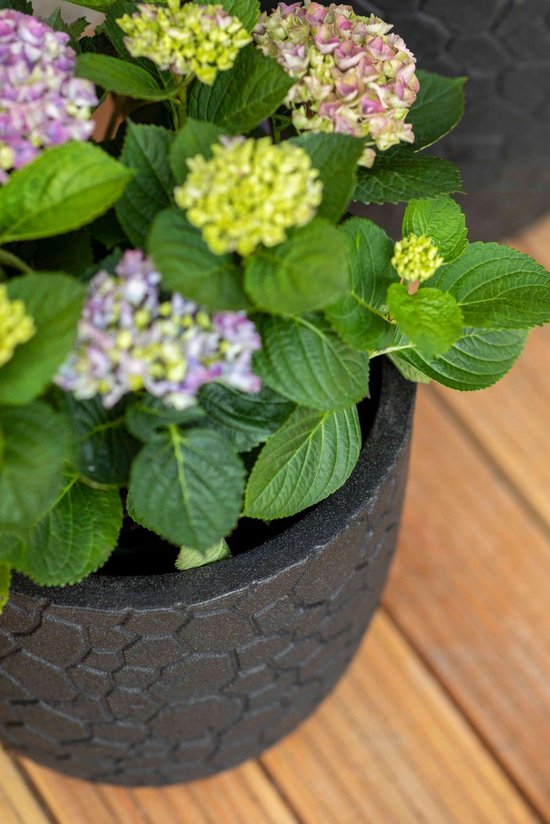 Capi Europe - Bloempot bol Clay NL - 35x34 - Warm taupe - Bloempot voor binnen en buiten - Levenslang garantie - Breukbestendig - 100% Recyclebaar - CO2 Neutraal geproduceerd - KWTC932