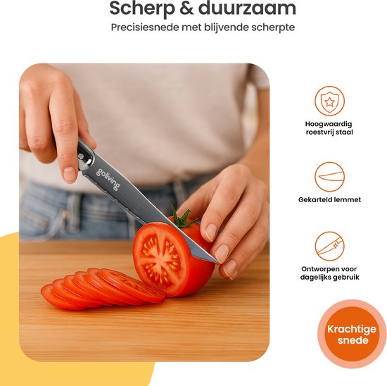 Goliving Steakmessen - Vleesmes - Vaatwasserbestendig - 6-delige Steakmessenset - RVS - Messenset - Kartelmes - Zilver