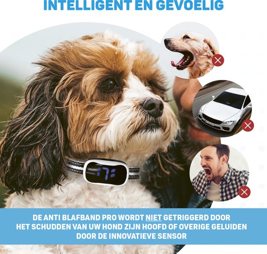 Anti Blafband Pro met LED - Opvoedingshalsband Zonder Schok - Anti Blaf Apparaat voor Kleine en Grote Honden - Waterdicht, Oplaadbaar en Verlichting - Vibratie en Audio