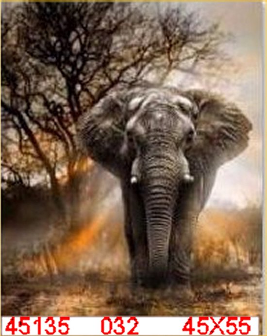 Dieren - Diamond Painting – Olifant – 40X50CM -