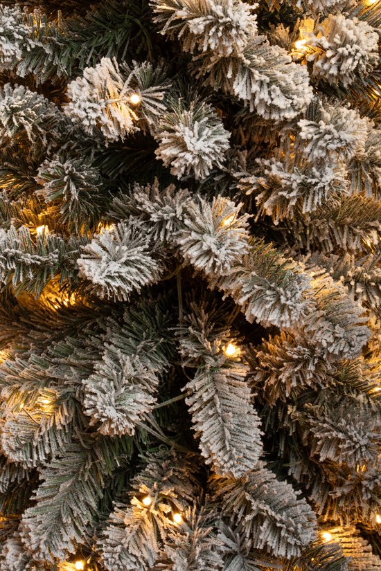 Black Box Trees Charlton Smalle Kunstkerstboom met Warm Witte LED Verlichting - H155 x Ø48 cm - Groen Frosted