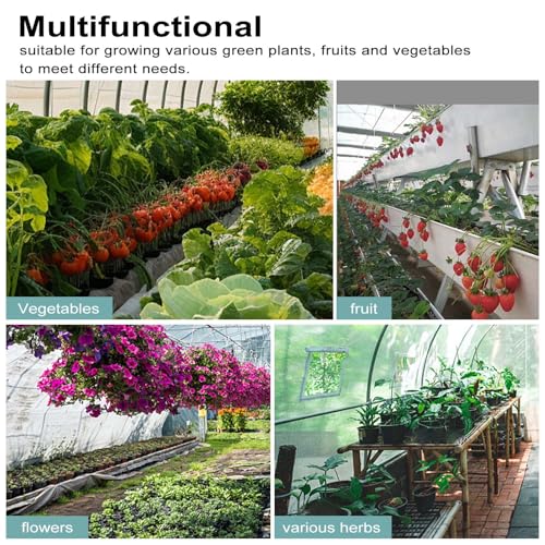Woltu Tunnelkas voor Tuin - Wit - 300 x 300 x 200 cm