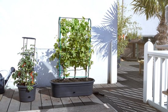 Elho Green Basics Veggie Wall 80 - Kweekbak - Verticaal Tuinieren - 100% Gerecycled Plastic - Ø 77.5 x H 26.0 cm - Living black