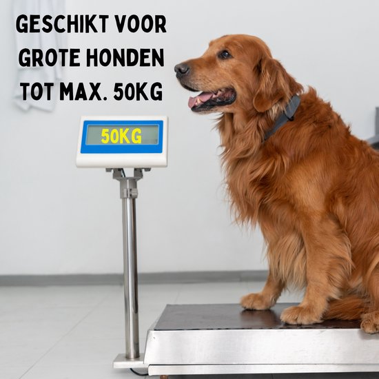 By Cee Cee Hondenriem 8 Meter - Looplijn voor Hond Tot 50KG - Zwart - Reflecterende Lijn - Stevig Robuust Materiaal - Soepele In -en Uitrol