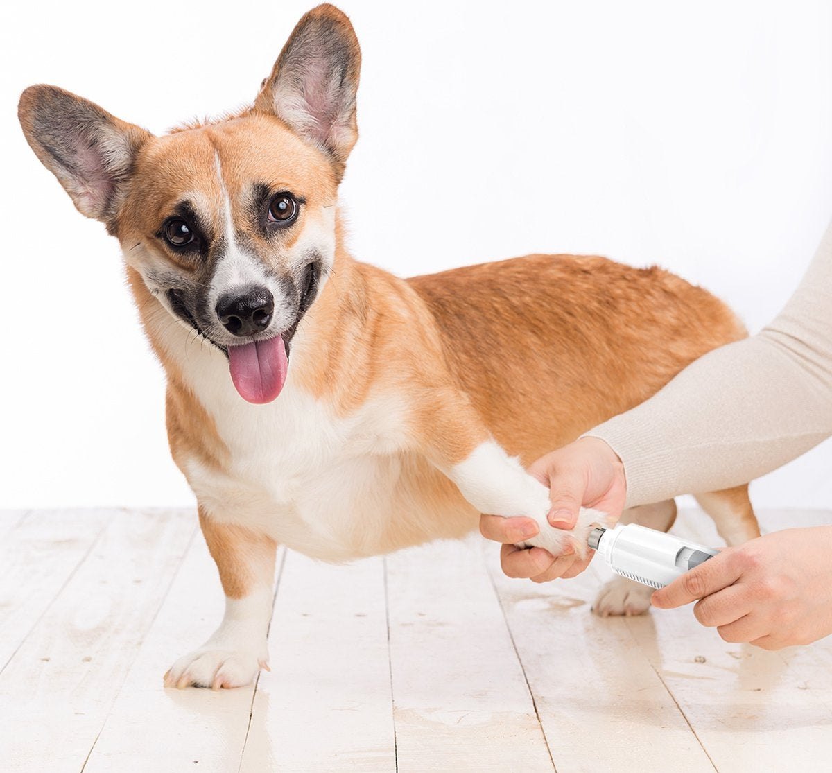 Auronic Elektrische Nagelvijl - voor Dieren - Oplaadbaar - Draadloos - Diamant Vijlkop - Hond/Katten - Wit