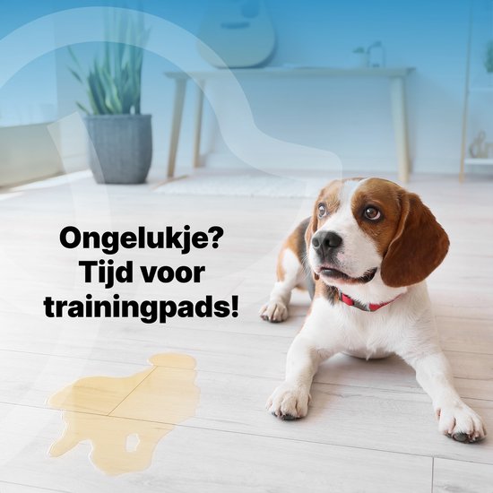 Jake and Jacky 240 Puppy Training Pads 60 x 90 cm - met Plakstrip - Zindelijkheidstraining Hond - Hondentoilet - Plasmatjes hond - Extra Groot