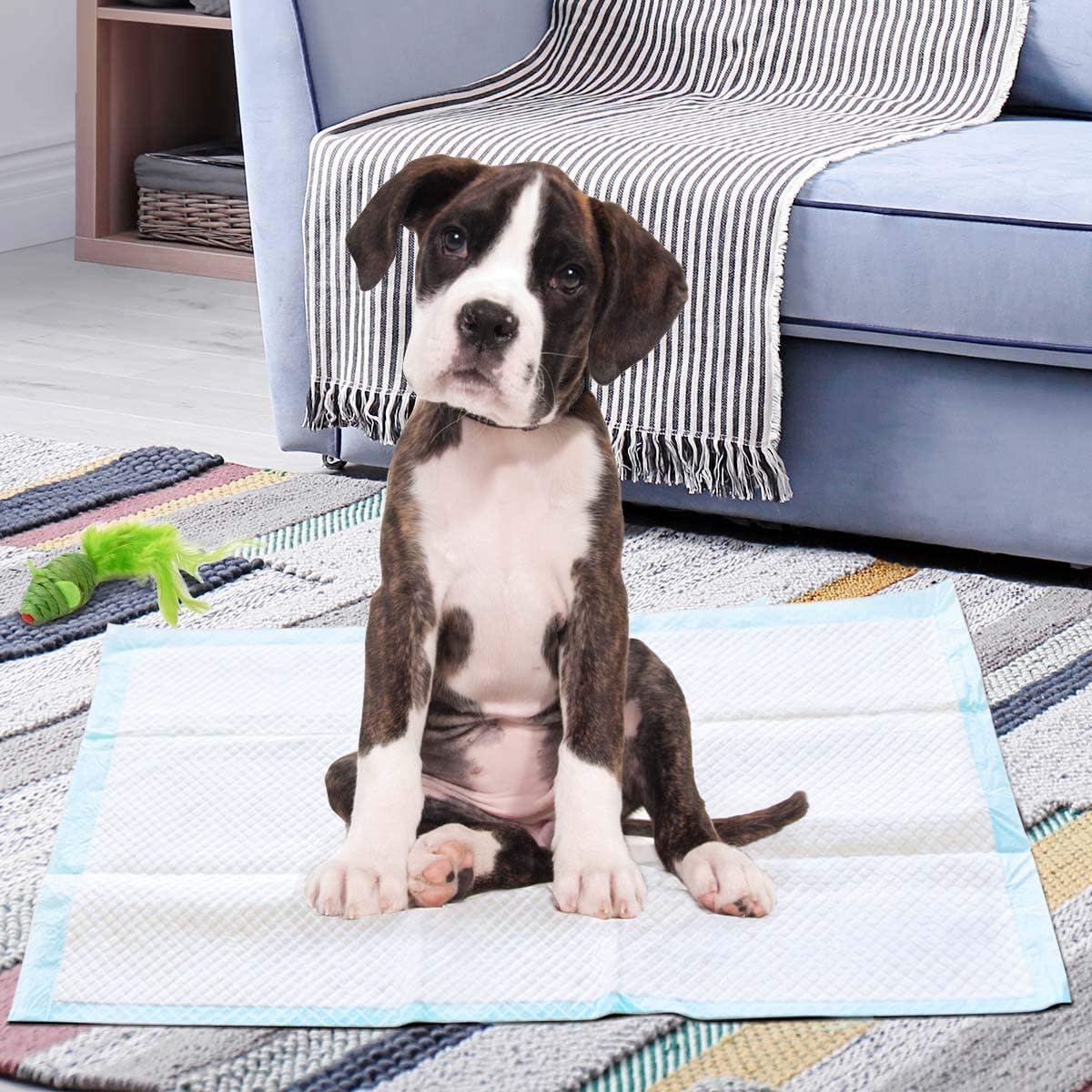 Coast Puppy Wegwerp Training Pads - Zindelijkheidstraining - 100 Stuks