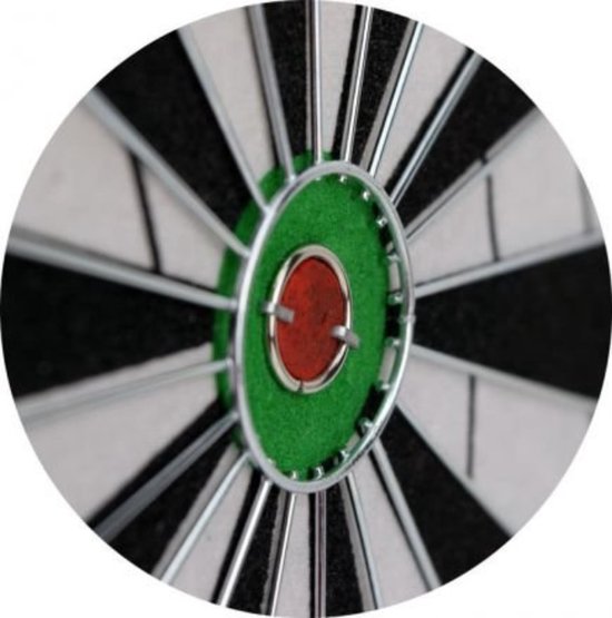 Masterdarts Dartbord 45cm x 2 cm met 2 setjes Pijlen