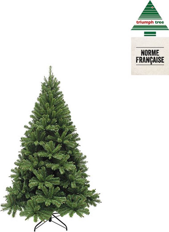 Triumph Tree Forrester Kunstkerstboom - 454 takken - H155 x Ø102 cm - Groen