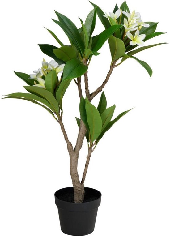 Kunstplant Plumeria 50x90 cm Wit/Groen