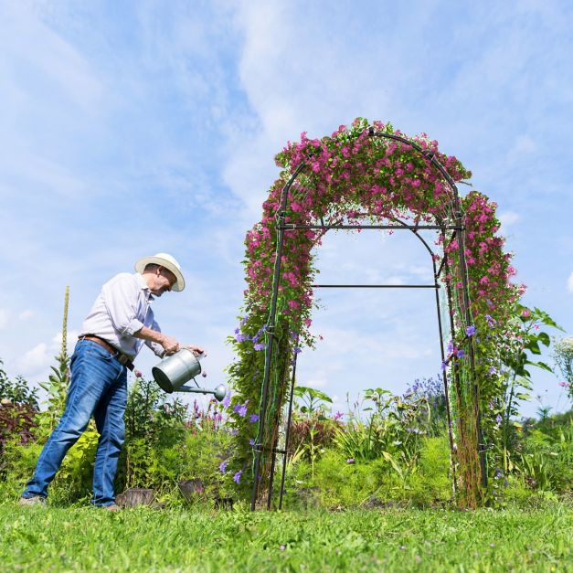 Tuinboog voor Klimplanten – Metalen Rankhulp met PE-Coating – 230 cm Hoog