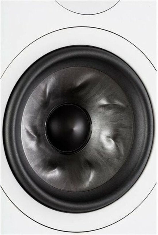Bluetooth Geluidstoren Polk Reserve R500