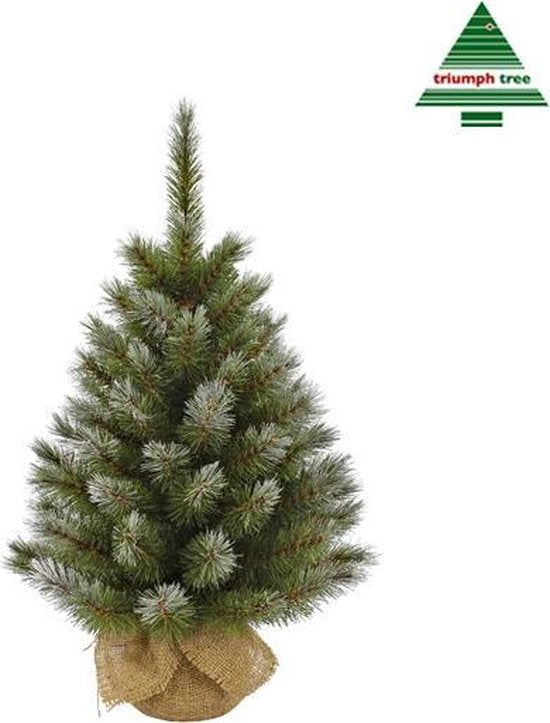 Triumph Tree Kunstkerstboom in Jute - Kunst Kerstboom H60 x Ø38 cm - Groen Frosted