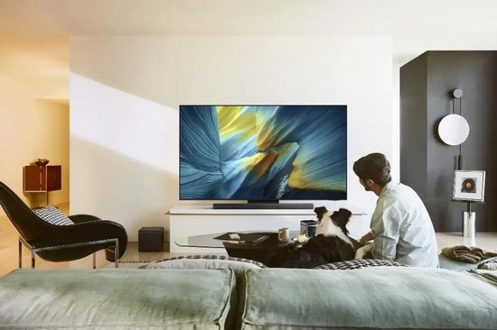 Samsung QE65S95F - 65 inch - 4K QD-OLED - 2025 - Smart TV