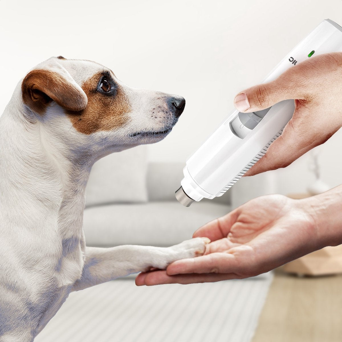 Auronic Elektrische Nagelvijl - voor Dieren - Oplaadbaar - Draadloos - Diamant Vijlkop - Hond/Katten - Wit