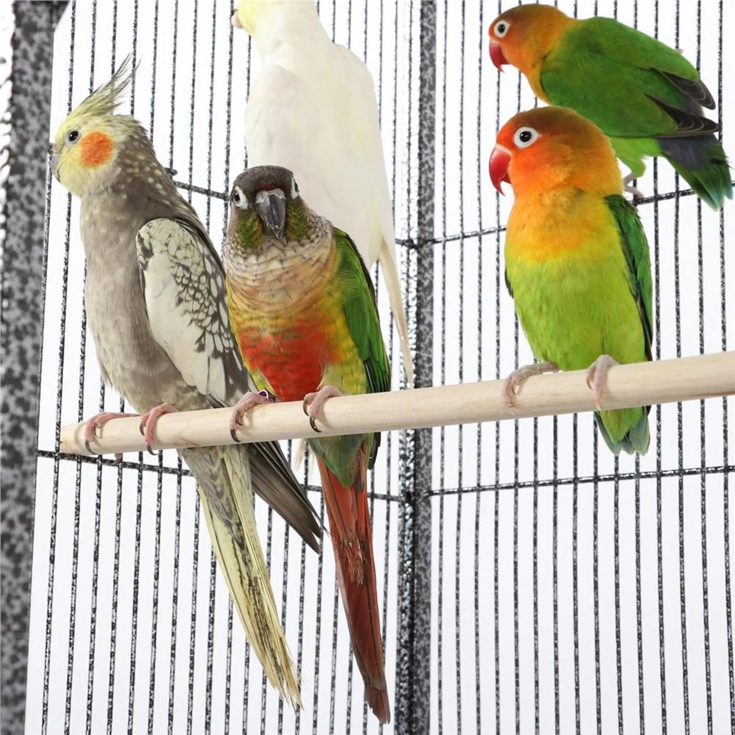 Yaheetech Vogelkooi Met Verrijdbaar Onderstel – Voorzien Van Afneembare Kooi En Zes Toegangsdeuren En Opbergplank – Voor Parkieten En Valkparkieten – Gehamerd Zwart Metaal – 81 x 47 x 160 cm