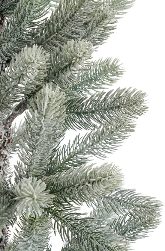 Black Box Trees Nagoya kerstboom groen frosted 212 TIPS - h120xd60cm