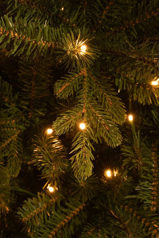 Black Box Trees Harma Smalle Kunstkerstboom met LED Verlichting - Groen - 185x63 cm