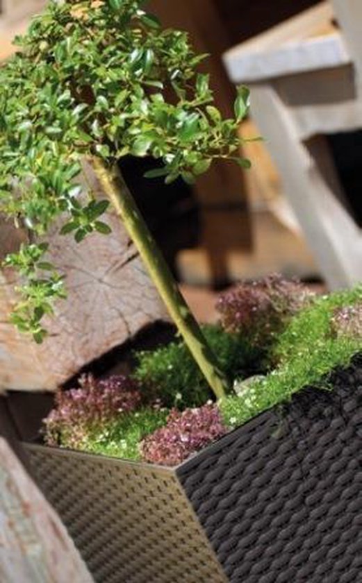 Prosperplast Bloempot/plantenpot Rato - rotan look - met binnenpot - antraciet - 32 x 32 x 33 cm - kunststof