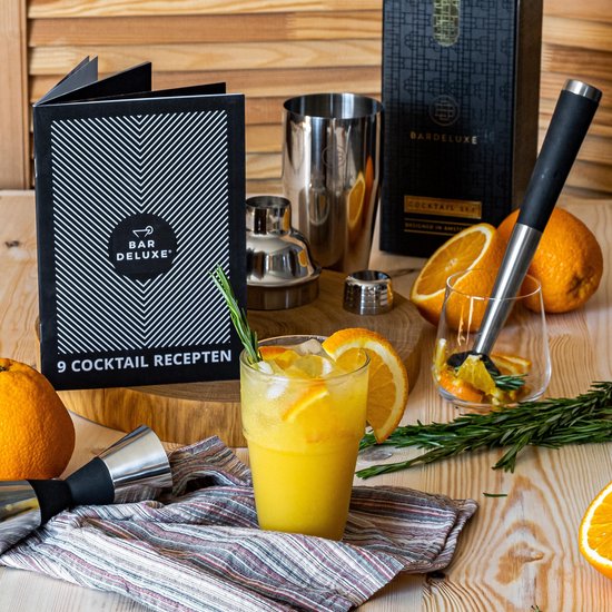 BarDeluxe® Cocktail Shaker Set - 5-Delig Boston Shaker - Cocktail Set met Stamper, Zeef, Barlepel & Receptenboek - Inclusief Luxe Geschenkdoos - Zilver