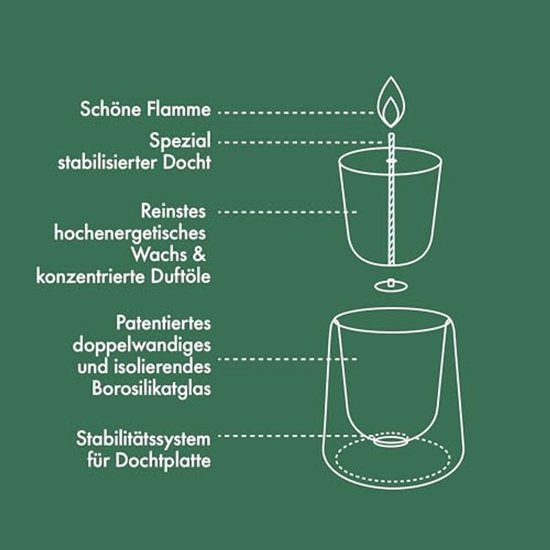 Bolsius Geurkaars Clean Light Starterkit Gardenia / Vijg