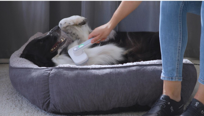 PiddiPet IonBrush Ionen Dierenborstel - Zelfreinigend - Voor Honden & Katten - Zwart - 18,5 x 12 x 7 cm