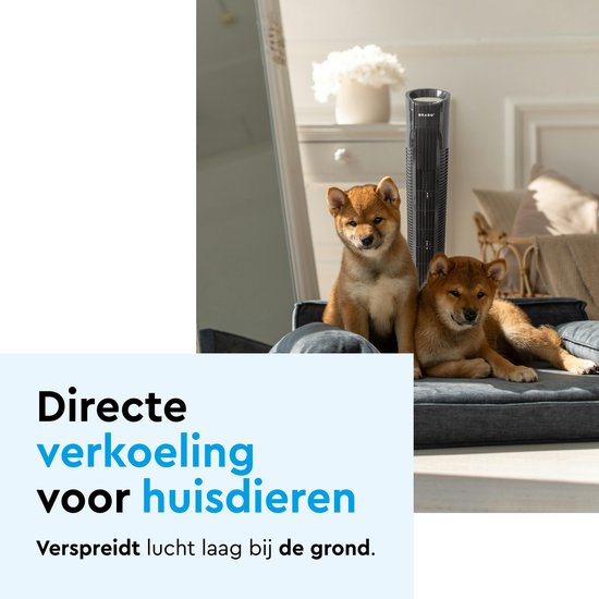 BRASQ Torenventilator F500 – 80 cm Hoog – Zwart – Stil – Met Afstandsbediening – Timer & Slaapmodus – Staande Ventilator – 50W – Voor Slaapkamer & Kantoor