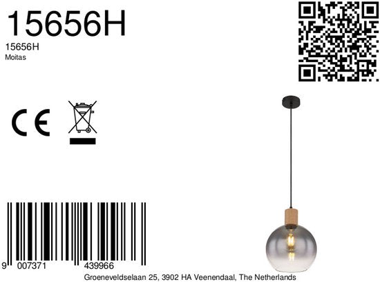 Globo - hanglamp - Moitas - zwart - glas - Ø 25cm - E27 - 15656H