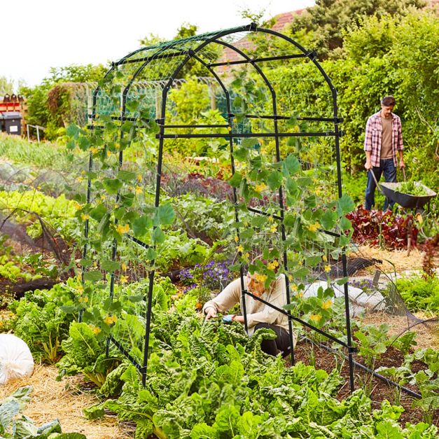 Tuinboog voor Klimplanten – Metalen Rankhulp met PE-Coating – 230 cm Hoog