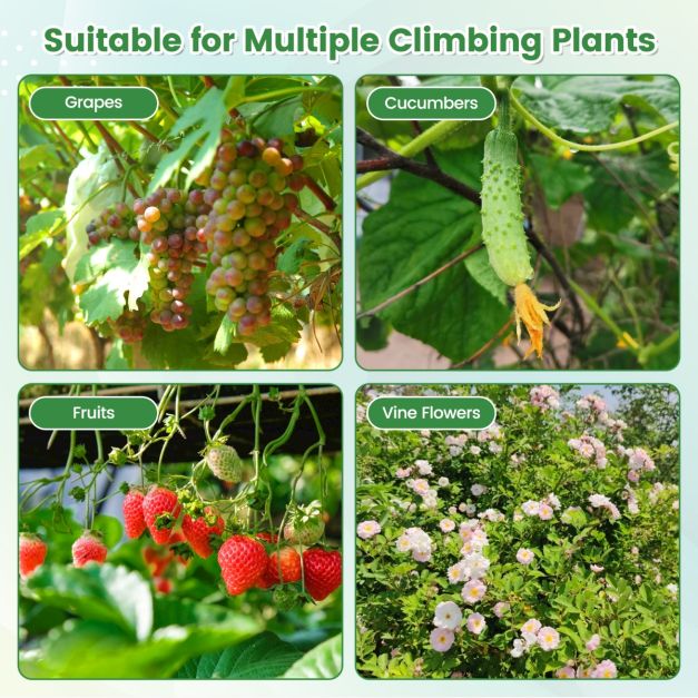 Tuinboog voor Klimplanten – Metalen Rankhulp met PE-Coating – 230 cm Hoog