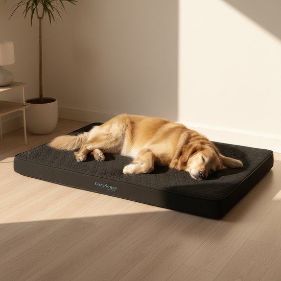 CozySense® Orthopedisch Hondenkussen 60 X 40 Cm – Maat S - Waterdicht – Geschikt Als Benchkussen & Hondenbed - Wasbare Hoes - Zwart
