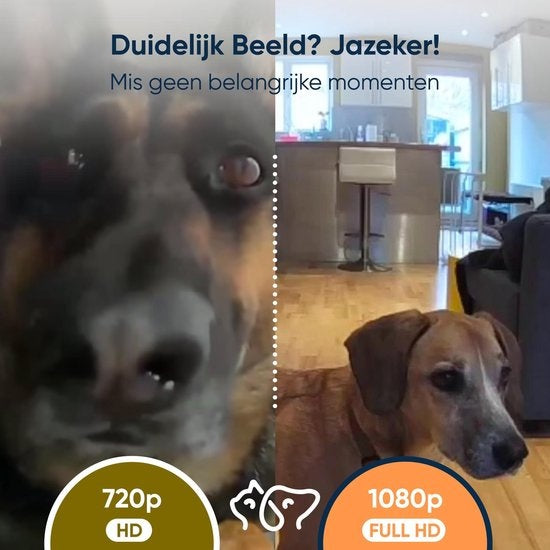1080P Huisdiercamera met App - Hondencamera met Petcam - Dog & Pet Camera Hond - Huisdier Camera voor Honden & Dieren