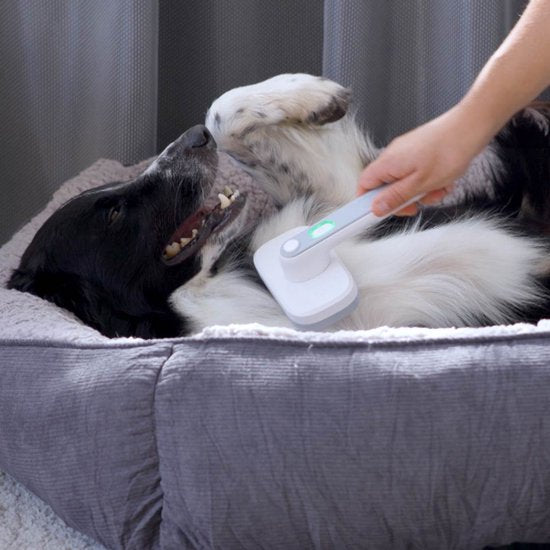 PiddiPet IonBrush Ionische Dierenhaarborstel – Zelfreinigend & Batterij-Powered – Vachtverzorging voor Honden & Katten – Minder Statische Lading, Glanzende Vacht – 2-pack
