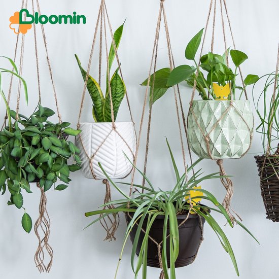 Bloomin Vliegen Vangkaarten - Geurloos & Non-Toxic - 24 stuks