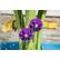 Step2 Summer Showers Splash Tower Watertafel – 66 cm – Blauw