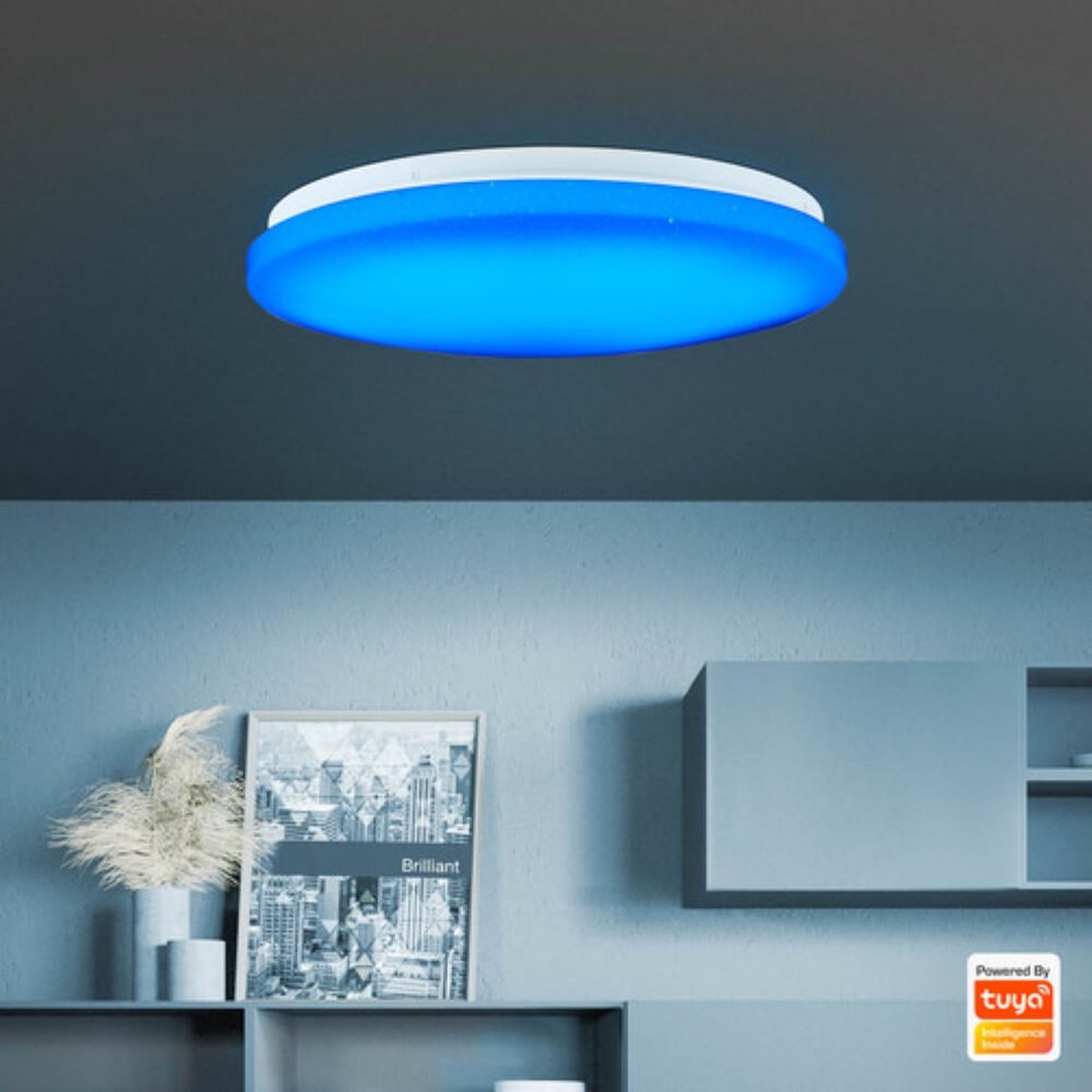Brillant Heddy LED Plafondlamp 39 cm - Wit - 22W Geïntegreerde LED - Slimme Tuya App Bediening