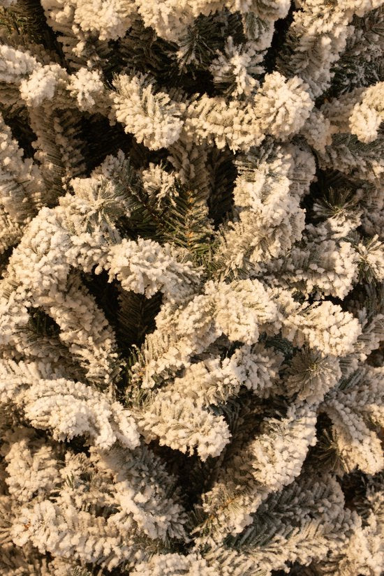 Black Box Trees Harma Smalle Kunstkerstboom - H215 x Ø66 cm - Groen Frosted