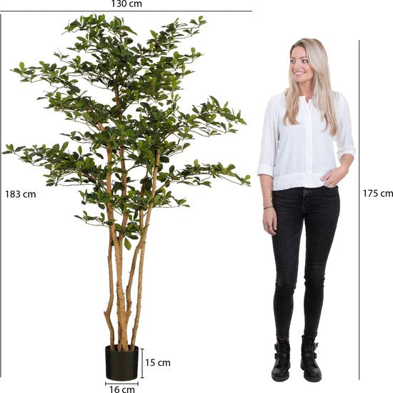 Mica Decorations Kunstplant Olijfboom in Pot - H183 x Ø130 cm - Groen