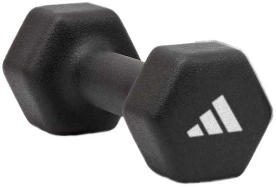 Adidas Fitness Dumbbell 1kg Zilver