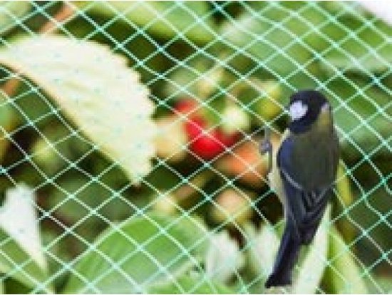 Vogelnet, polyester, maaswijdte 2 cm², 4 x 10 m, groen