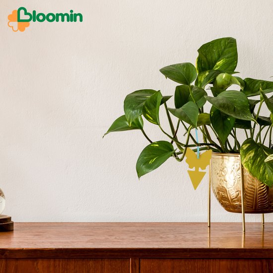 Bloomin Vliegen Vangkaarten - Geurloos & Non-Toxic - 24 stuks