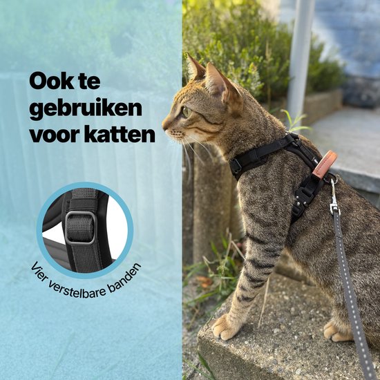 Jake and Jacky Hondentuigje Kleine Hond - Anti-Trek Tuig - Kattentuigje - Y Tuig Hond - Hondenharnas Kleine Hondjes - Kattenharnas - Zwart - Maat XS