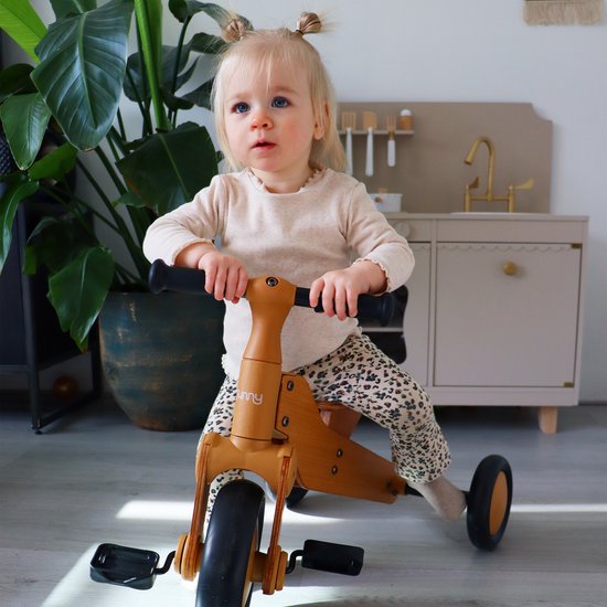 Sunny Walker 2-in-1 1000 Houten Loopfiets - Vanaf 2 jaar - Walker Trike - Verstelbaar zadel - FSC Mix